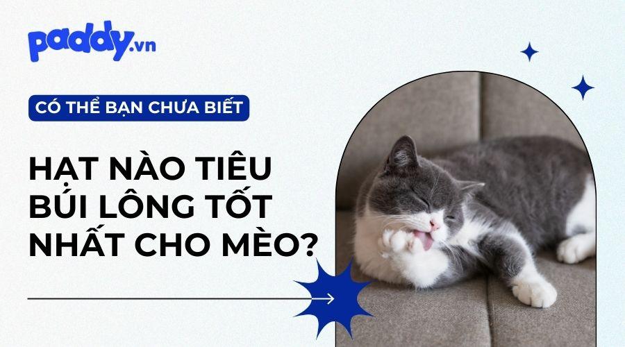 Top 5 Loại Thức Ăn Hạt Hỗ Trợ Tiêu Búi Lông Tốt Nhất Cho Mèo - Paddy Pet Shop