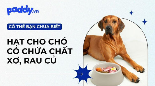 Top Thức Ăn Hạt Cho Chó Có Chứa Chất Xơ, Rau Củ - Paddy Pet Shop