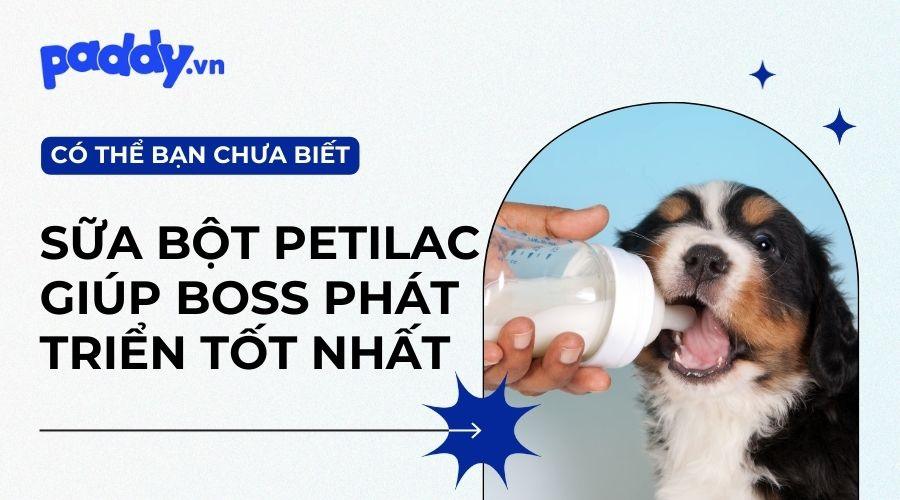 Vì Sao Nên Ưu Tiên Lựa Chọn Sữa Petilac By Kyan Cho Chó Mèo? - Paddy Pet Shop