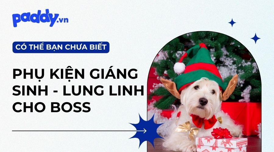 Tổng Hợp Các Mẫu Phụ Kiện Giáng Sinh Cho Chó Mèo 2023 - Paddy Pet Shop