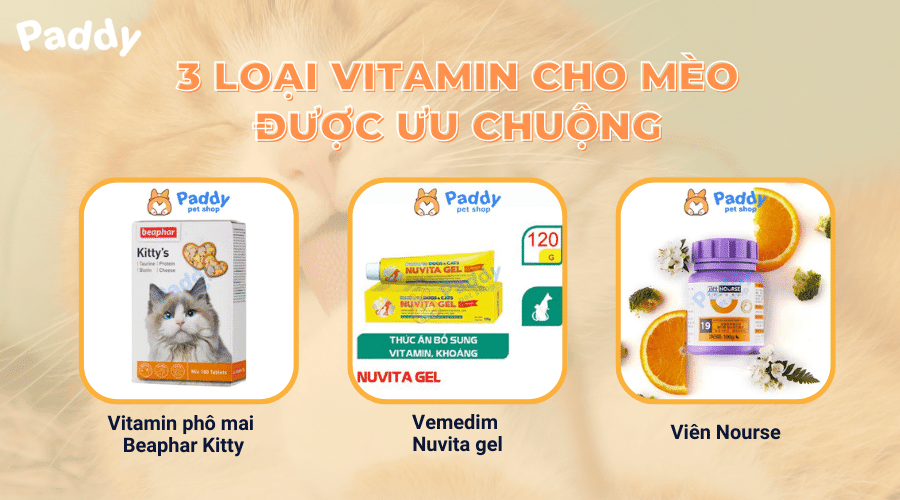 Tổng hợp các sản phẩm vitamin cho mèo phổ biến nhất - Paddy Pet Shop