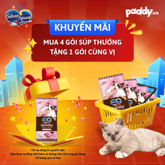 Súp Thưởng Cho Mèo Silver Spoon Dạng Thìa 10g