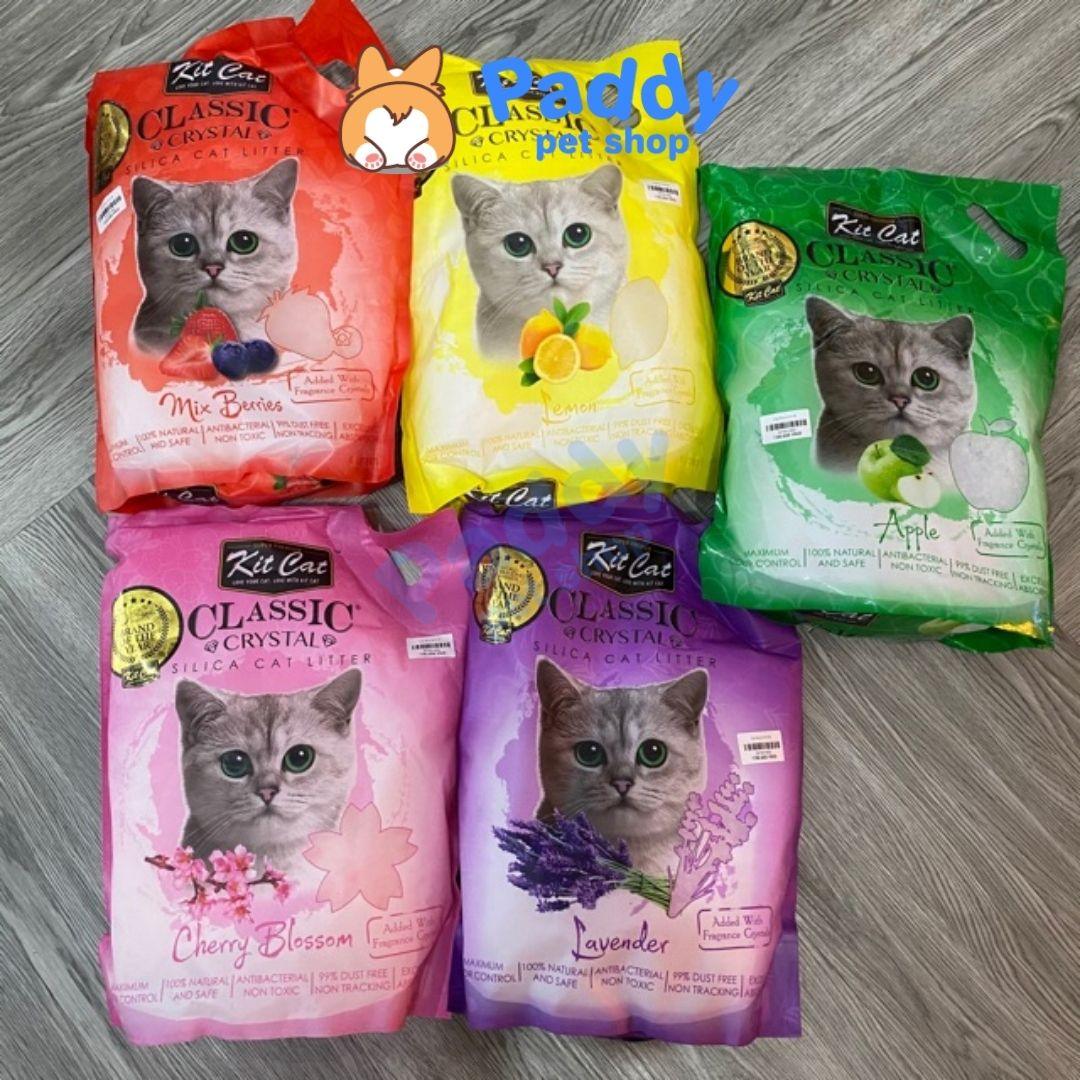 Cát Thuỷ Tinh Mèo Kit Cat Nhiều Mùi Hương 5L - Paddy Pet Shop
