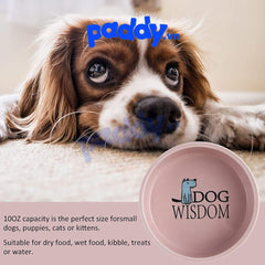 Bát Ăn Cho Chó Mèo Bằng Sứ Nhiều Kiểu Dáng - Paddy Pet Shop