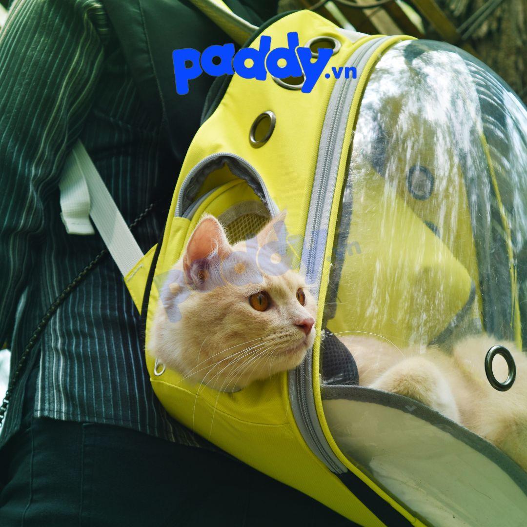 Balo Phi Hành Gia Trong Suốt Vận Chuyển Chó Mèo - Paddy Pet Shop