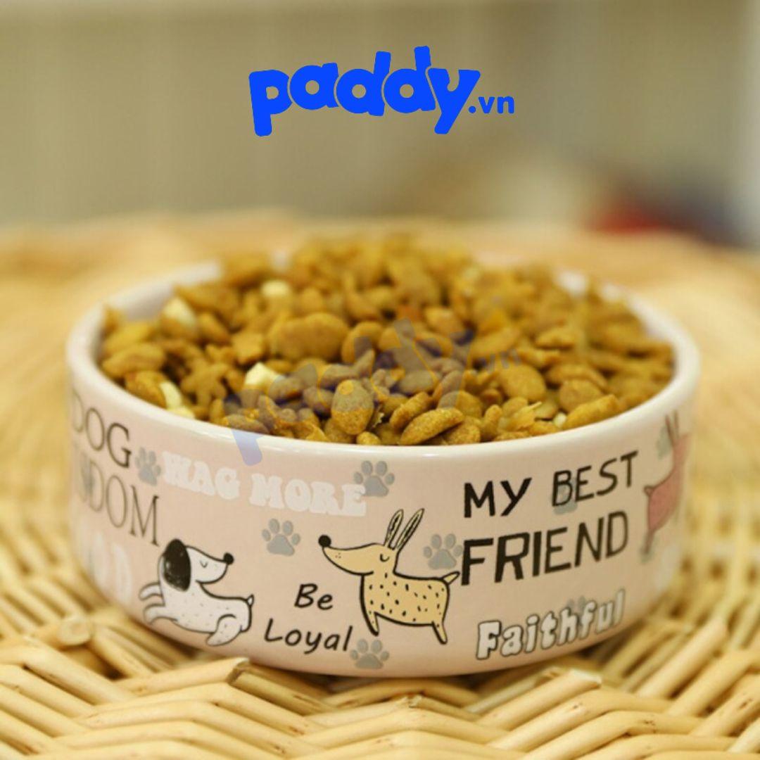 Bát Ăn Cho Chó Mèo Bằng Sứ Nhiều Kiểu Dáng - Paddy Pet Shop