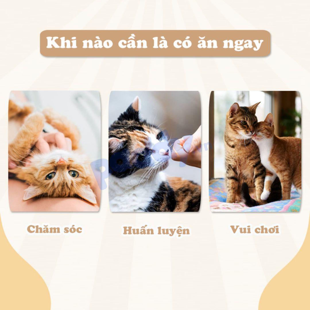 Bánh Thưởng Cho Mèo Cattyman Làm Từ Cá Nguyên Chất - Paddy Pet Shop