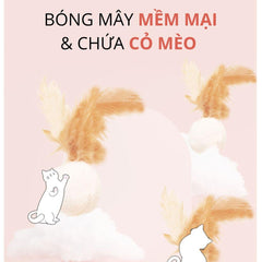 Bàn Cào Móng Mèo Dây Thừng Có Lông Vũ FOFOS - Paddy Pet Shop