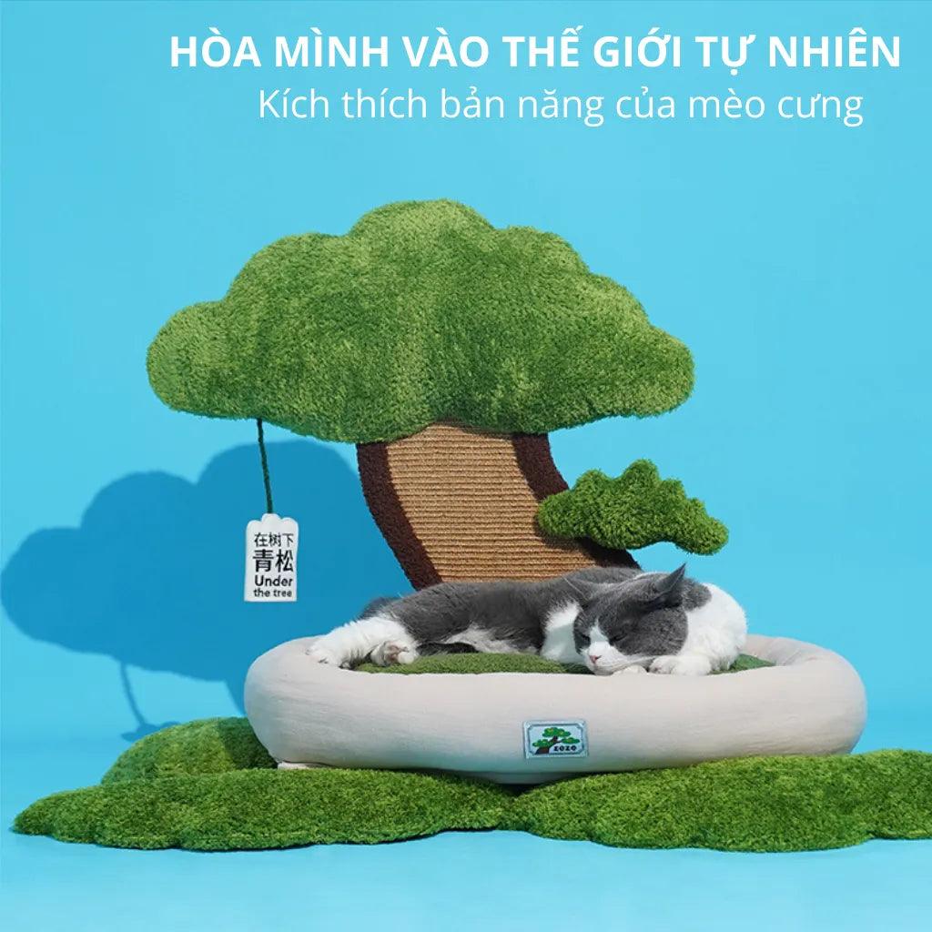 Nệm Cho Mèo Có Bàn Cào Móng Hình Bonsai ZEZE - Paddy Pet Shop