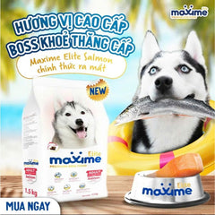 Hạt Cho Chó Maxime Elite 1.5Kg