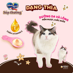 Súp Thưởng Cho Mèo Silver Spoon Dạng Thìa 10g