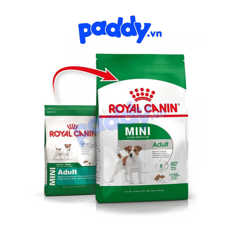 Thức Ăn Hạt Cho Chó Trưởng Thành Giống Nhỏ Royal Canin Mini Adult - Paddy Pet Shop