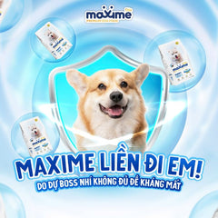Hạt Cho Chó Maxime Elite 1.5Kg