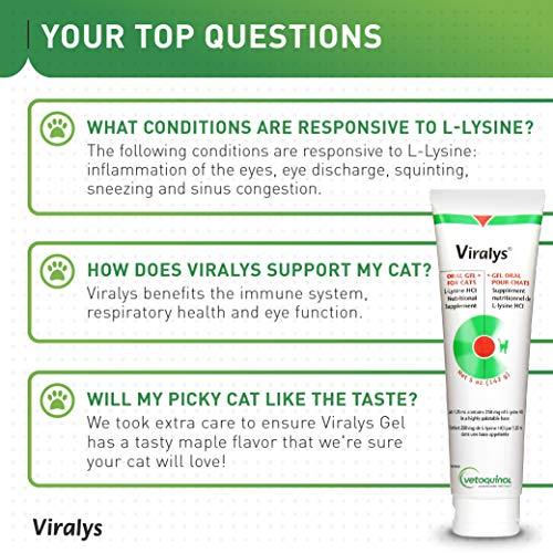 Gel Dinh Dưỡng Mèo Viralys L-Lysine Hỗ Trợ Miễn Dịch, Hô Hấp - Paddy Pet Shop