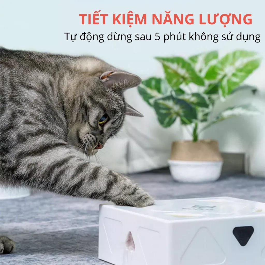 Đồ Chơi Cho Mèo Cảm Biến Hồng Ngoại PIR FOFOS Errati Cat (Sạc USB) - Paddy Pet Shop