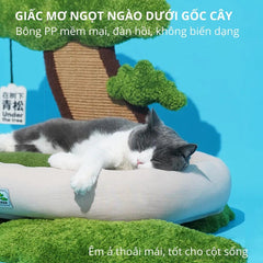 Nệm Cho Mèo Có Bàn Cào Móng Hình Bonsai ZEZE - Paddy Pet Shop
