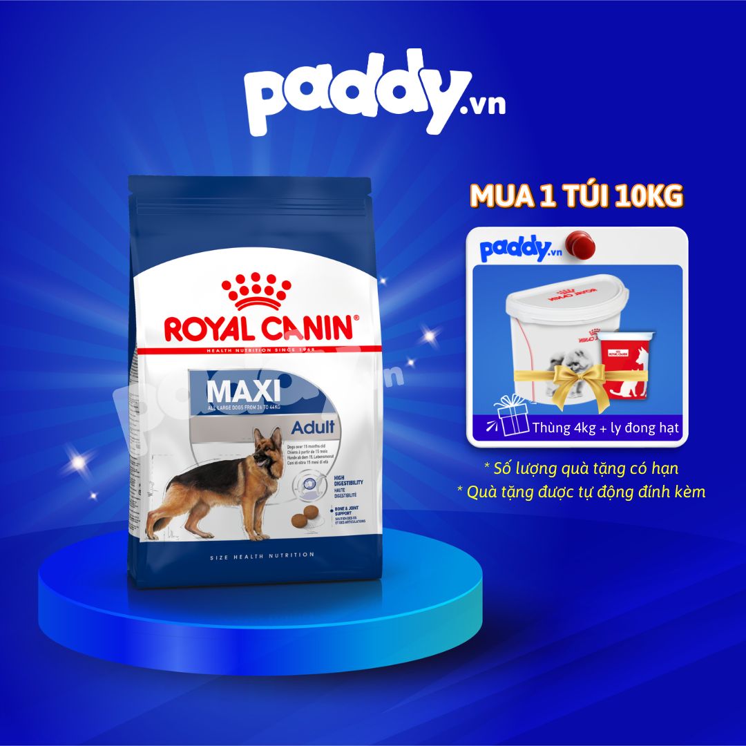 Thức Ăn Cho Chó Lớn Royal Canin Maxi Adult