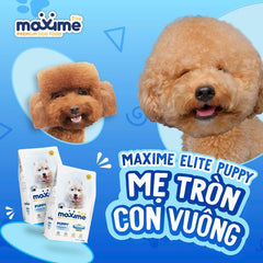 Hạt Cho Chó Maxime Elite 1.5Kg