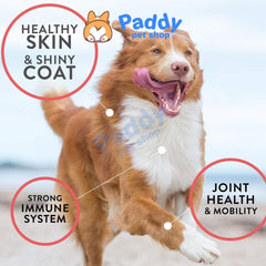 Dầu Cá Hồi Vet Worthy Dưỡng Lông Da Chó (Mỹ) - Paddy Pet Shop