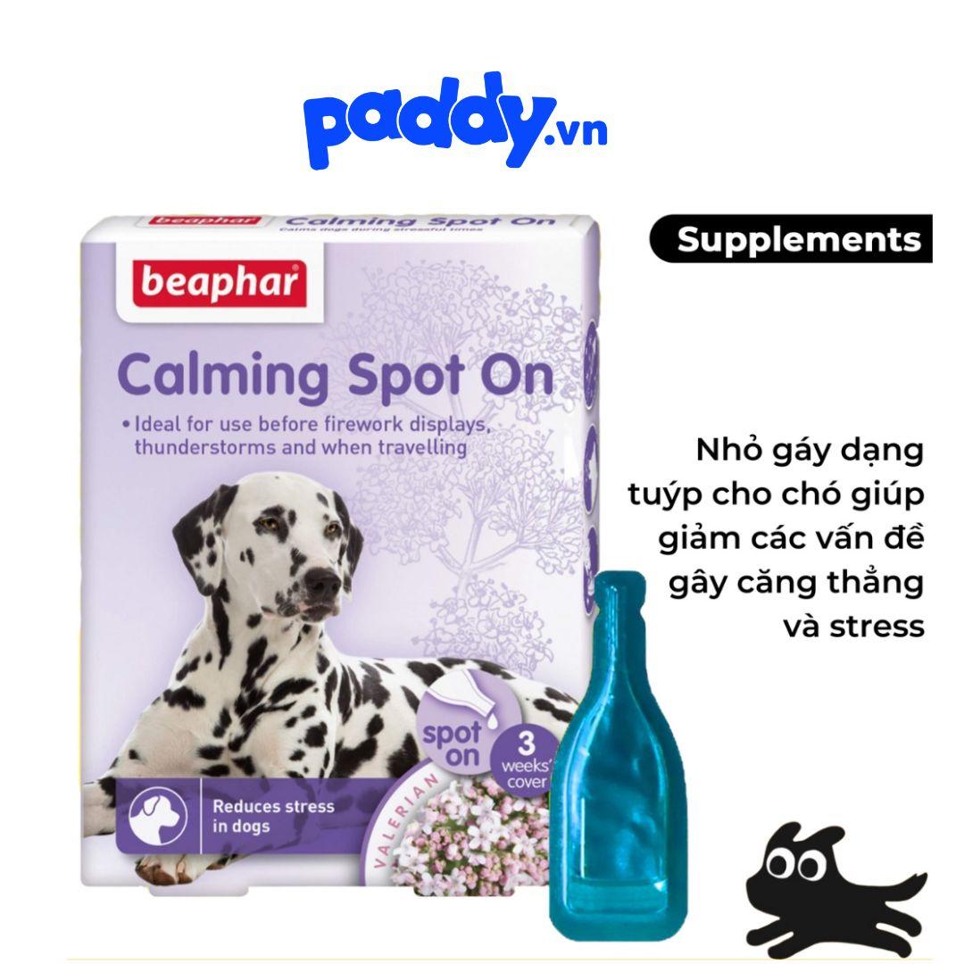 Nhỏ Gáy Giảm Stress Cho CHÓ Thư Giãn Beaphar Calming - Paddy Pet Shop