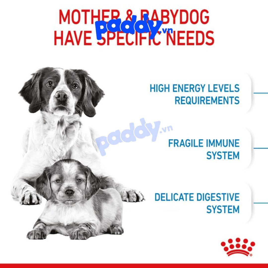 Thức Ăn Cho Chó Royal Canin Medium Starter Mother & Babydog - Paddy Pet Shop