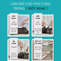 Máy Cắt Tỉa, Hút Lông & Chải Lông Cho Chó Mèo PetQ G2 5in1 - Paddy Pet Shop