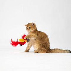Đồ Chơi Mèo Vẹt Catnip FOFOS - Paddy Pet Shop