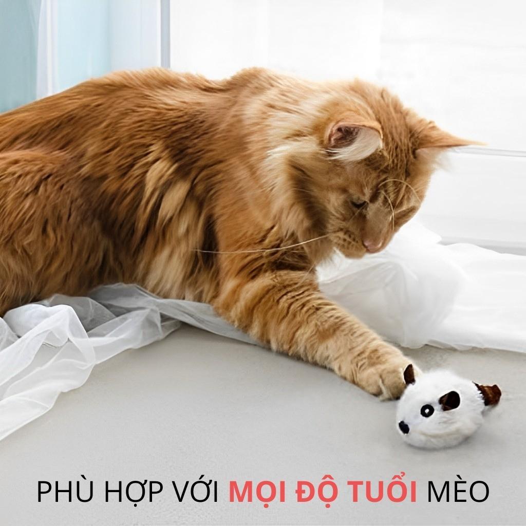 Đồ Chơi Mèo Chuột Kéo Dây Tự Động FOFOS - Paddy Pet Shop