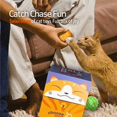 Đồ Chơi Cho Mèo Banh Catnip FOFOS - Paddy Pet Shop