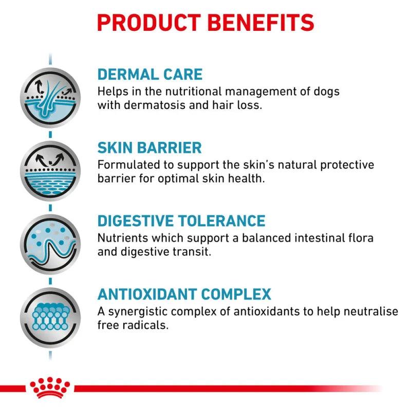 Thức Ăn Hạt Điều Trị Bệnh Cho Chó Viêm Da & Rụng Lông Royal Canin Skin Care 2kg - Paddy Pet Shop