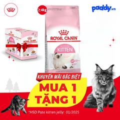 Thức Ăn Hạt Cho Mèo Con Royal Canin Kitten 36