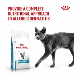 Thức Ăn Hạt Điều Trị Bệnh Cho Mèo Dị Ứng Nặng Royal Canin Anallergenic 2kg - Paddy Pet Shop