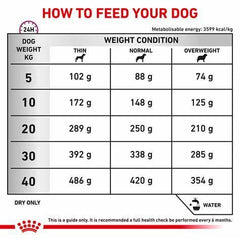 Thức Ăn Hạt Điều Trị Bệnh Cho Chó Hỗ Trợ Xương Khớp Royal Canin Mobility C2P+ 2kg - Paddy Pet Shop