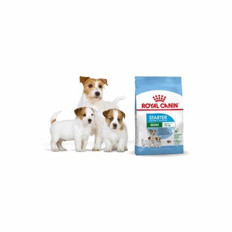 Thức Ăn Hạt Cho Chó Royal Canin Mini Starter Mother & Babydog - Paddy Pet Shop