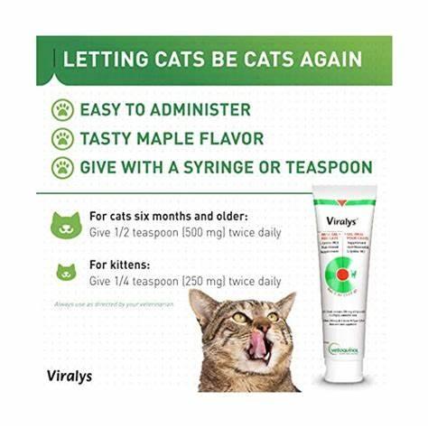 Gel Dinh Dưỡng Mèo Viralys L-Lysine Hỗ Trợ Miễn Dịch, Hô Hấp - Paddy Pet Shop