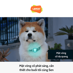 Đèn LED Rời Gắn Vòng Cổ Chó Mèo Laroo Blinker (Dùng Pin) - Paddy Pet Shop