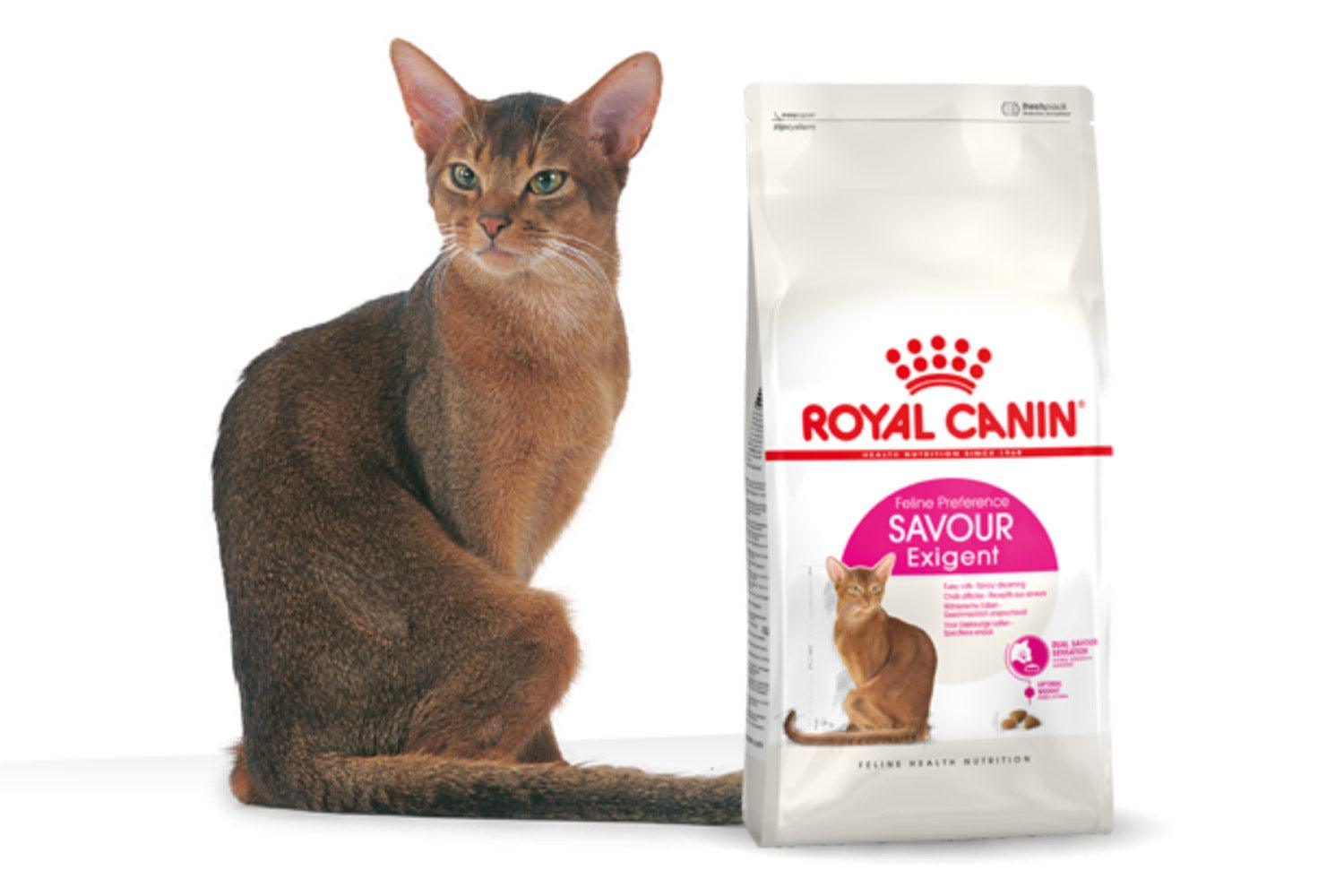 Thức Ăn Hạt Cho Mèo Trưởng Thành Kén Ăn Royal Canin Savour Exigent - Paddy Pet Shop