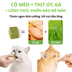 Bánh Thưởng Cho Mèo Gà Sấy Đông Khô PetQ - Paddy Pet Shop