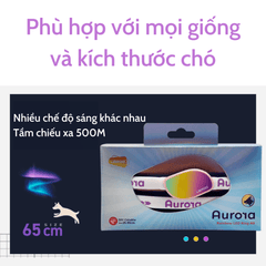 Vòng Cổ Cho Chó Đèn LED Laroo Sạc USB - Aurora 65cm - Paddy Pet Shop