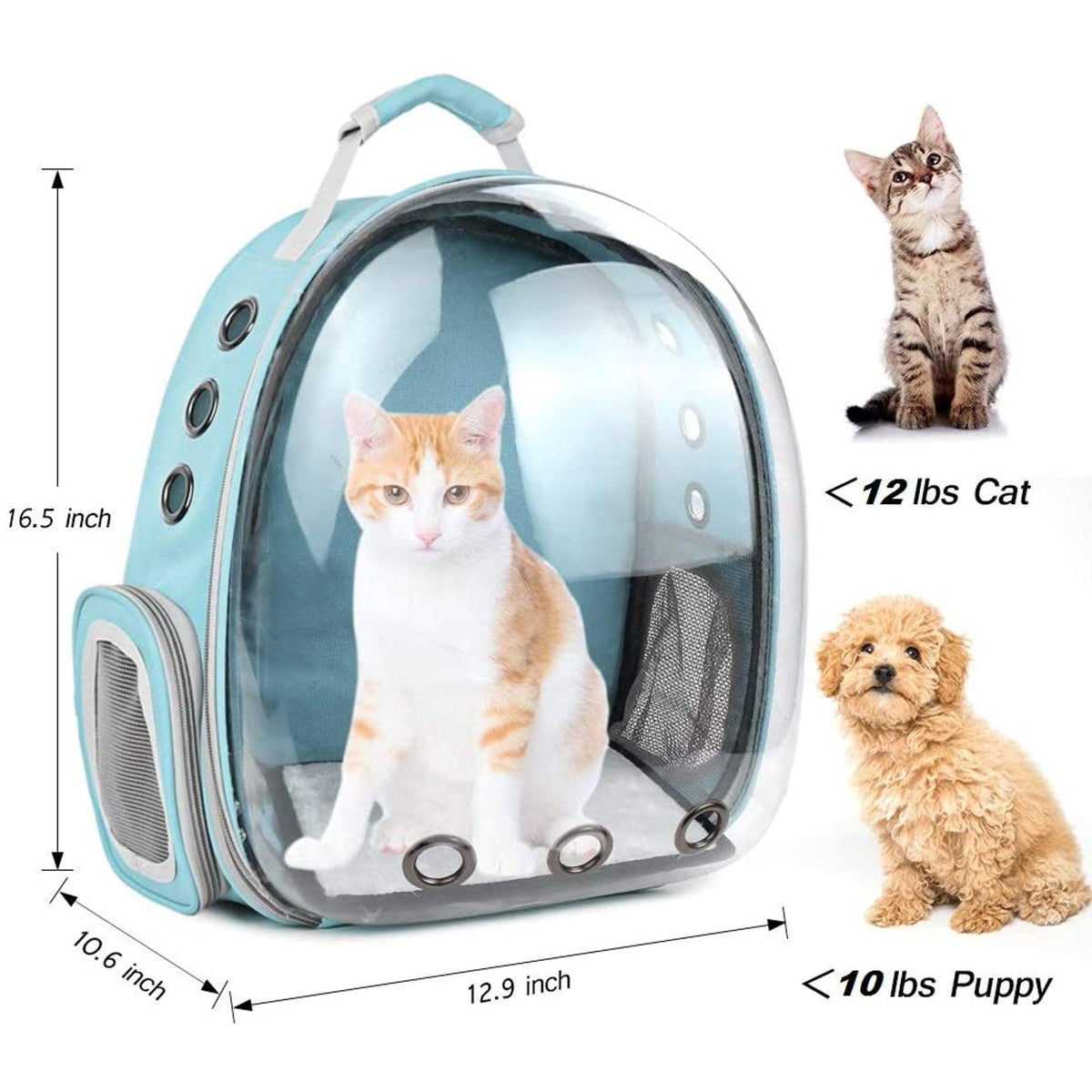 Balo Phi Hành Gia Trong Suốt Vận Chuyển Chó Mèo - Paddy Pet Shop