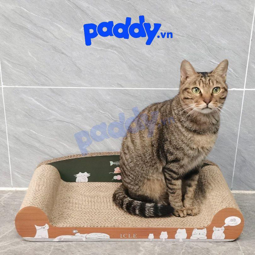 Bàn Cào Móng Mèo Bằng Giấy (Tặng Kèm Cỏ Mèo) - Paddy Pet Shop