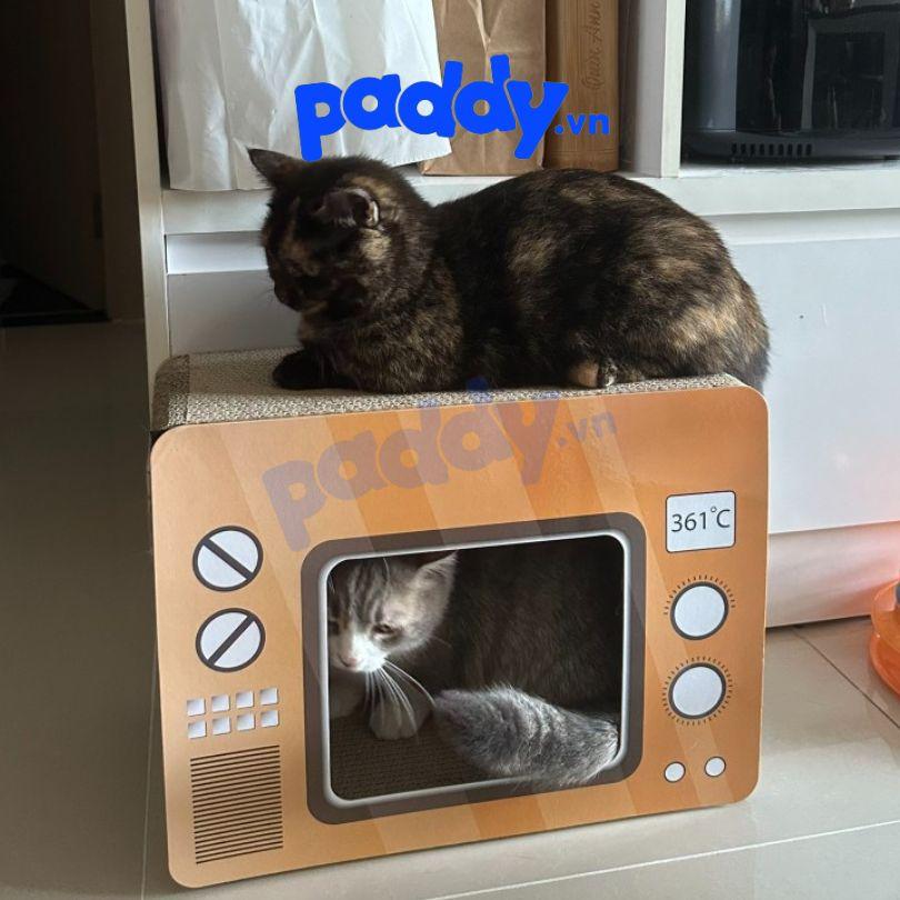Bàn Cào Móng Mèo Giấy Hình Hộp (Tặng Kèm Cỏ Mèo) - Paddy Pet Shop