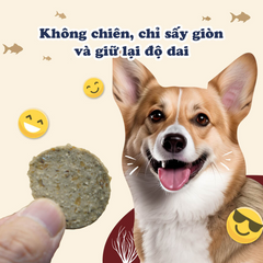 Bánh Thưởng Cho Chó Doggyman Vị Cá Sấy 50g