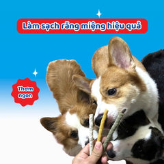 Bánh Thưởng Cho Chó Que Dai Da Bò Doggyman White Dental 120g