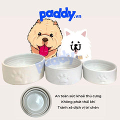 Bát Ăn Cho Chó Mèo Bằng Sứ Nhiều Kiểu Dáng - Paddy Pet Shop