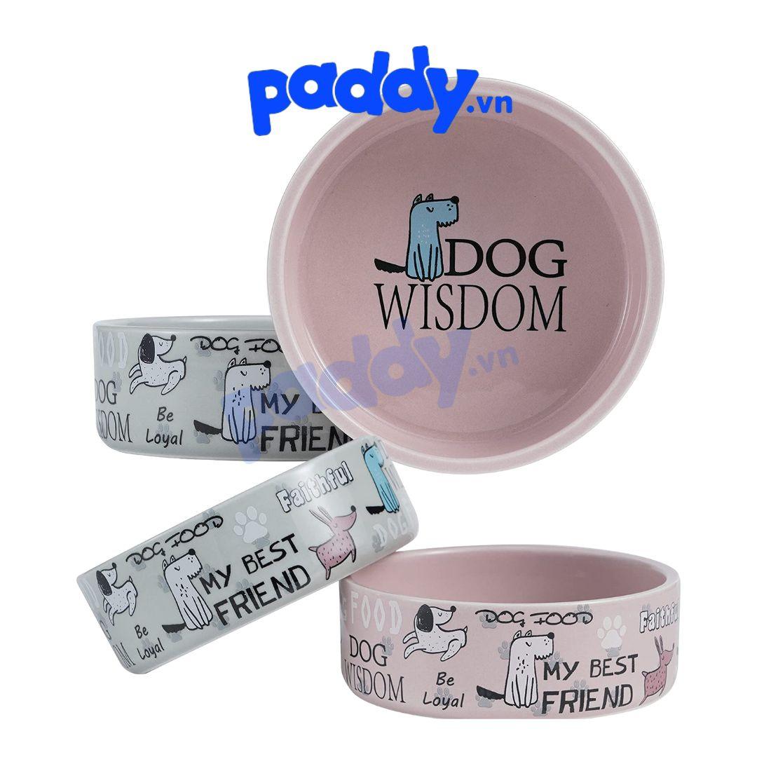 Bát Ăn Cho Chó Mèo Bằng Sứ Nhiều Kiểu Dáng - Paddy Pet Shop