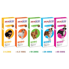 Bravecto Viêm Da Ghẻ Demodex Trị Nấm Cho Chó - Paddy Pet Shop