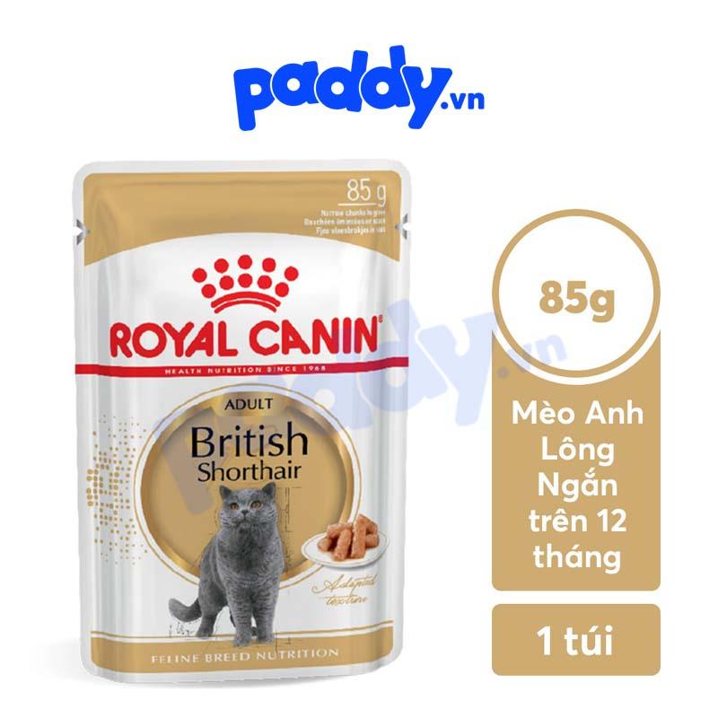 Pate Mèo Anh Lông Ngắn Trưởng Thành Royal Canin British Shorthair - Paddy Pet Shop