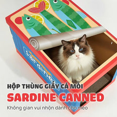 Cào Móng Giấy Cho Mèo Mọi Lứa Tuổi FOFOS