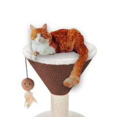 Cào Móng Mèo FOFOS Hình Ly Cafe 42x35cm